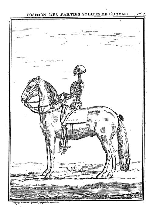 dupaty de clam la science et l art de lequitation 1776 0046
